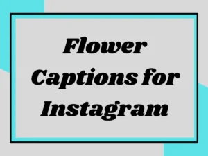 Read more about the article Flower Captions for Instagram: Blooming Beautiful Posts