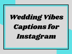 Read more about the article Wedding Vibes Captions for Instagram: Celebrate Love in Style