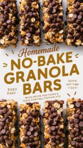 Read more about the article Healthy No-Bake Granola Bars You Can Make in 15 Minutes 2025-26